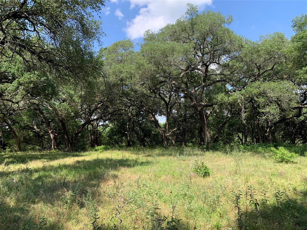 TBD Fm 532, Moulton, Texas image 19