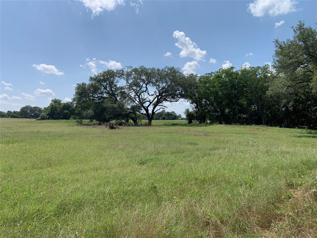 TBD Fm 532, Moulton, Texas image 31