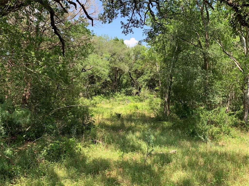 TBD Fm 532, Moulton, Texas image 10