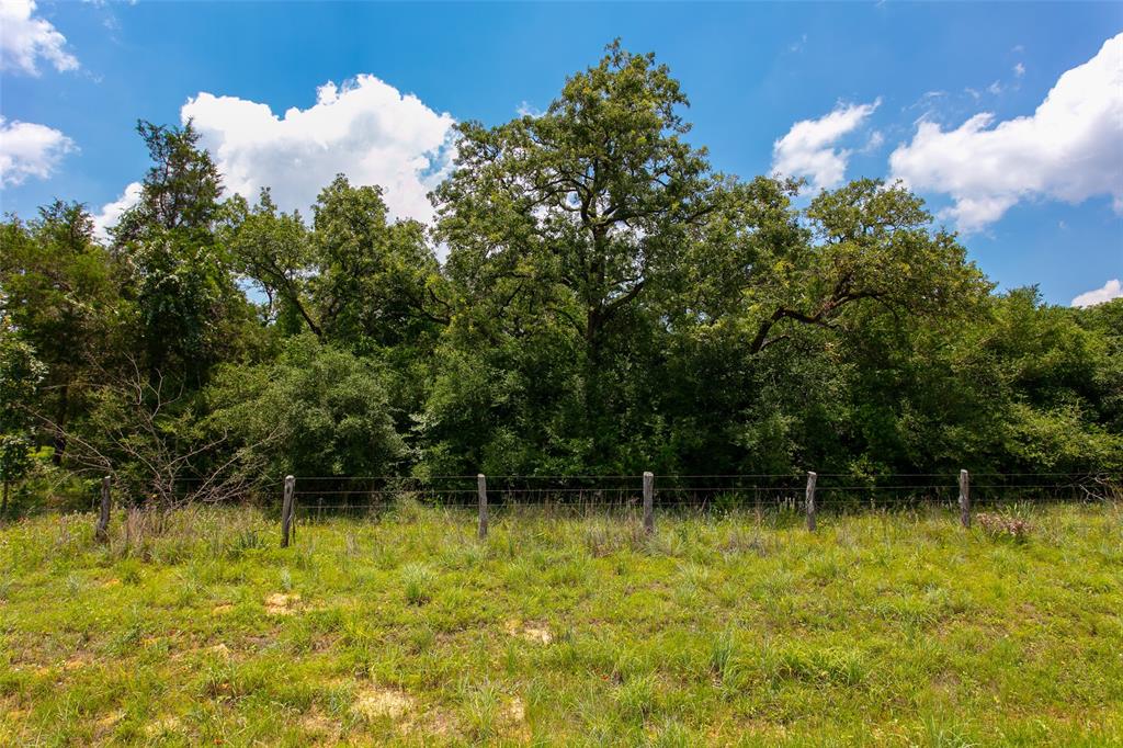 TBD Cr 316, Caldwell, Texas image 5