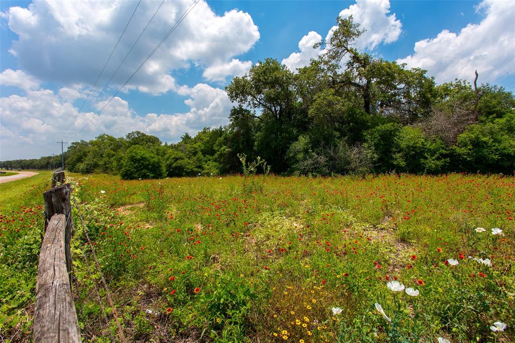 TBD Cr 316, Caldwell, Texas image 3