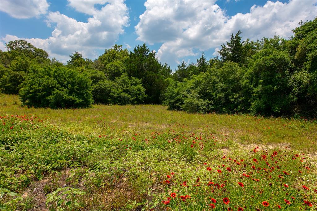 TBD Cr 316, Caldwell, Texas image 4