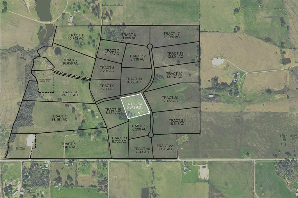 TBD Hartfield Meadow Tract 14 Lane, Round Top, Texas image 16