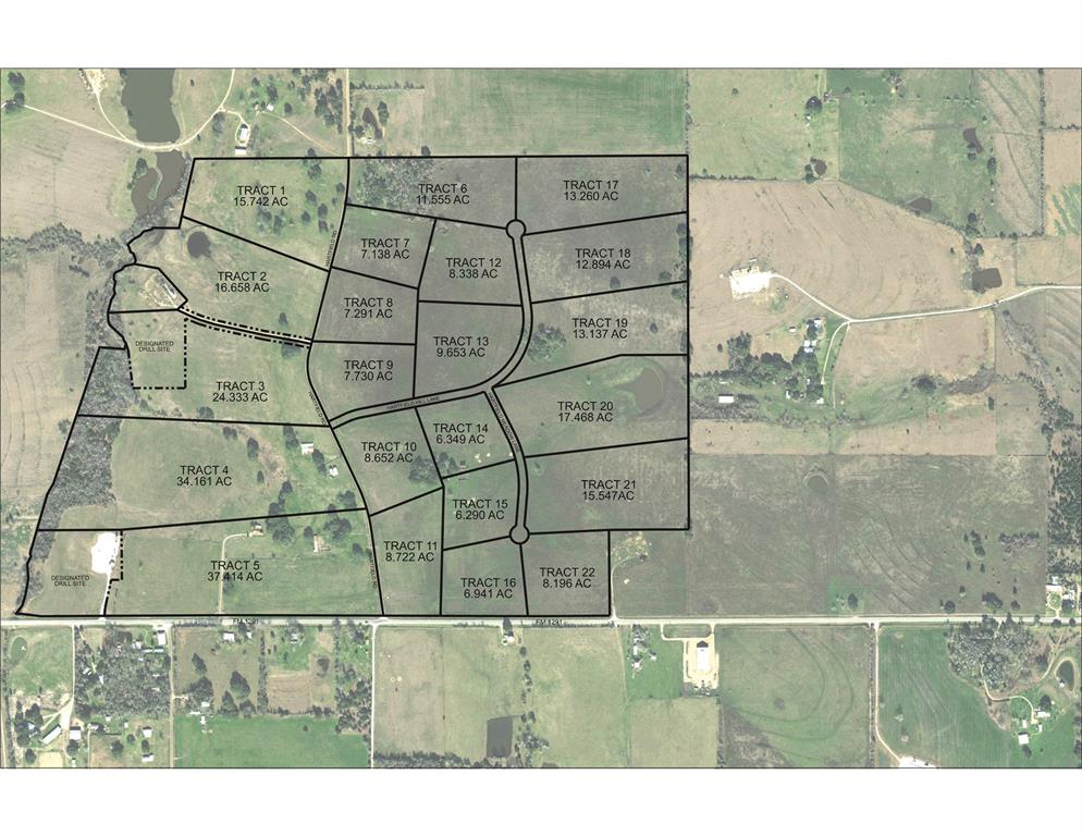 TBD Hartfield Meadow Tract 14 Lane, Round Top, Texas image 17