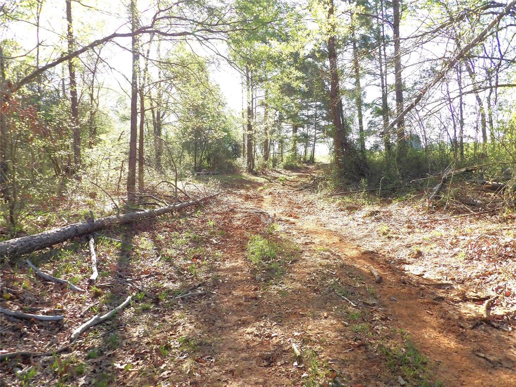 TBD Cr 410, Crockett, Texas image 20