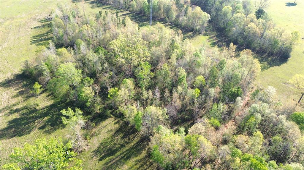 TBD Cr 410, Crockett, Texas image 27
