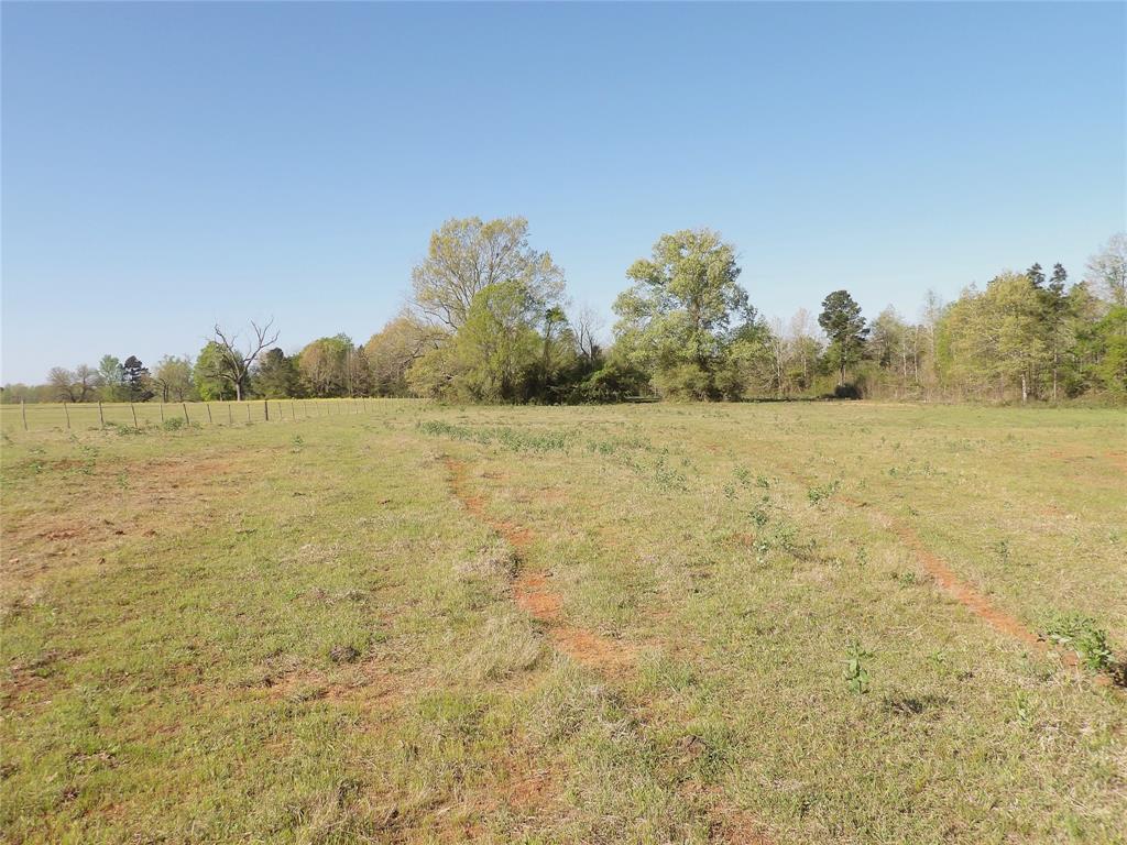 TBD Cr 410, Crockett, Texas image 22