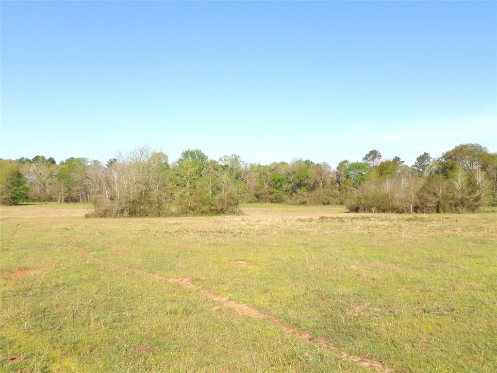 TBD Cr 410, Crockett, Texas image 8