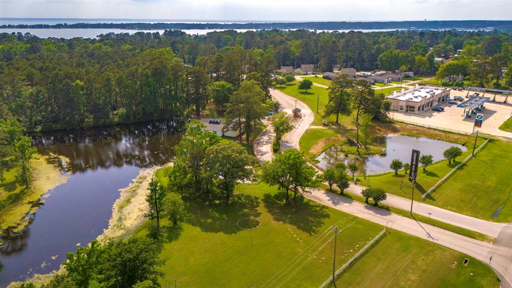 299 Red Clover, Livingston, Texas image 29