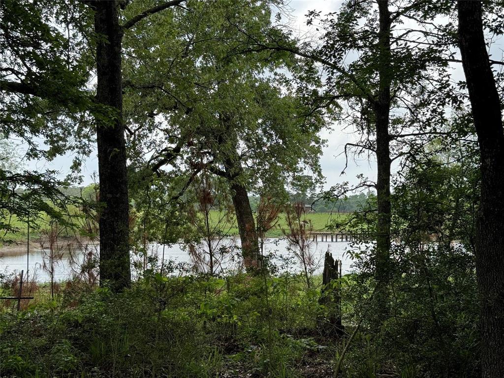 Stagecoach Circle, Huntsville, Texas image 6