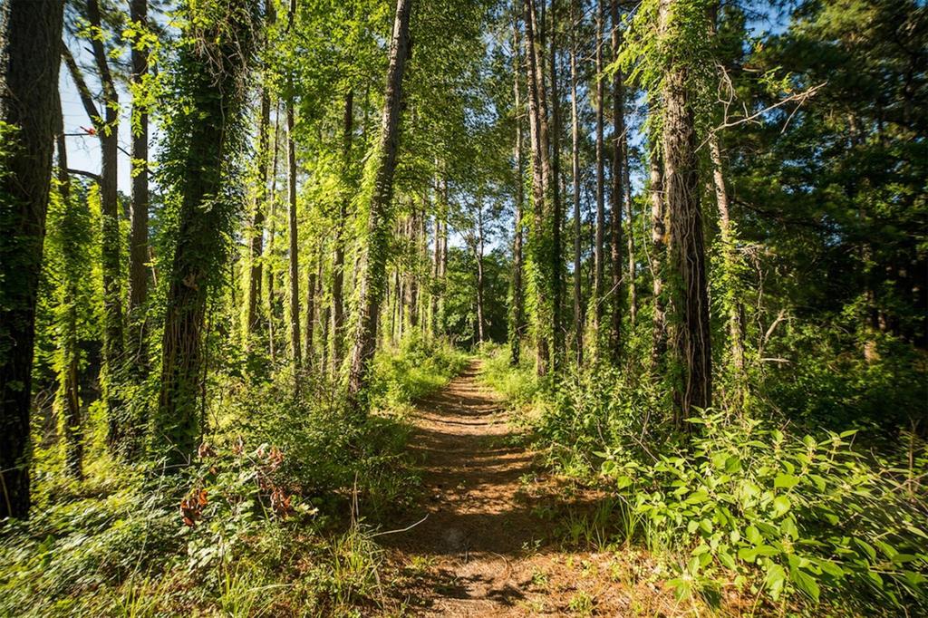 Stagecoach Circle, Huntsville, Texas image 15