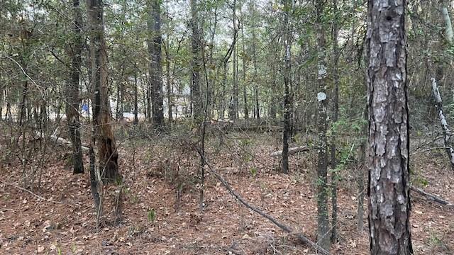 Stagecoach Circle, Huntsville, Texas image 1