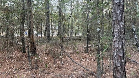 Vacant Land For Sale - Stagecoach Circle<br/> Huntsville, TX 77340