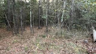 Stagecoach Circle, Huntsville, Texas image 4