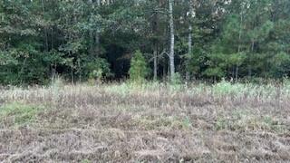 Stagecoach Circle, Huntsville, Texas image 3