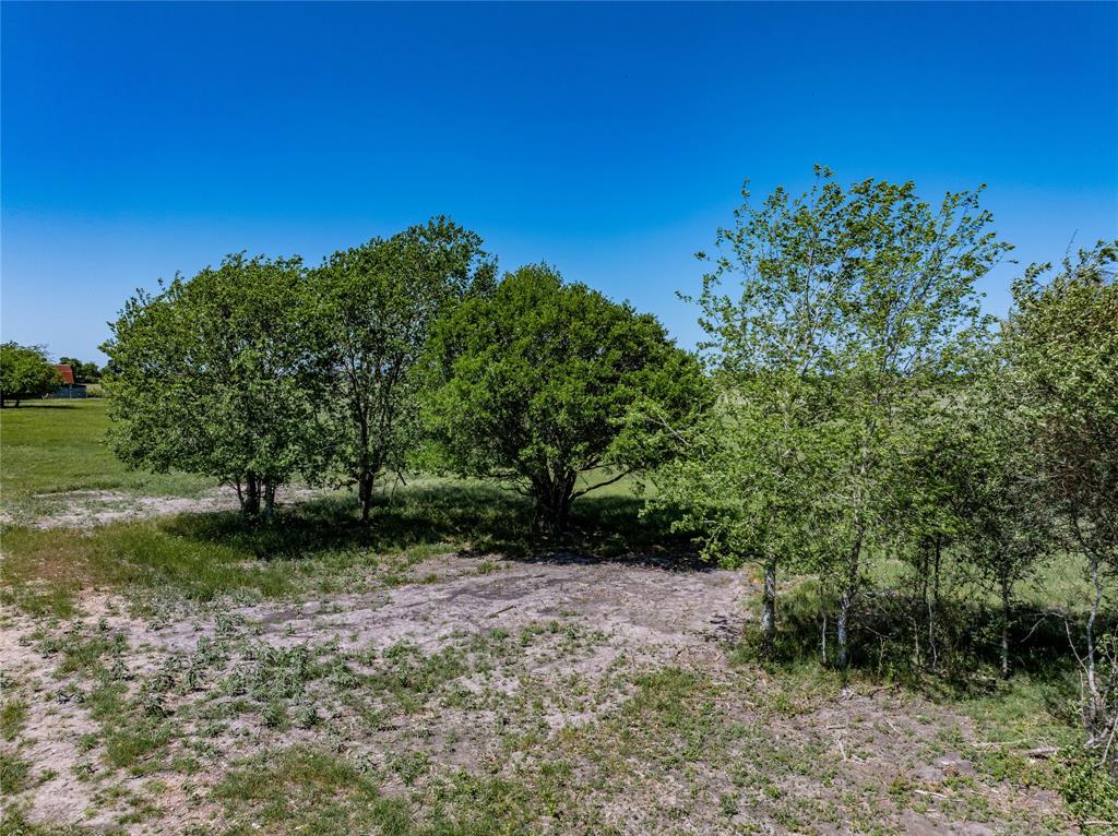 7239 Meiners Road, Ledbetter, Texas image 4