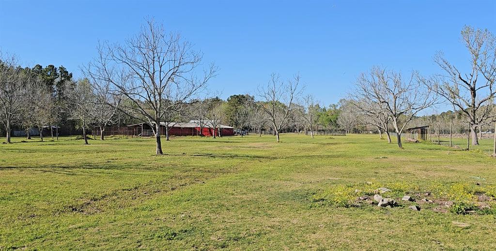 1001 Indian Shores Road, Crosby, Texas image 11