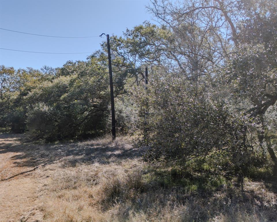 423 & 431 Creekside Drive, Canyon Lake, Texas image 7