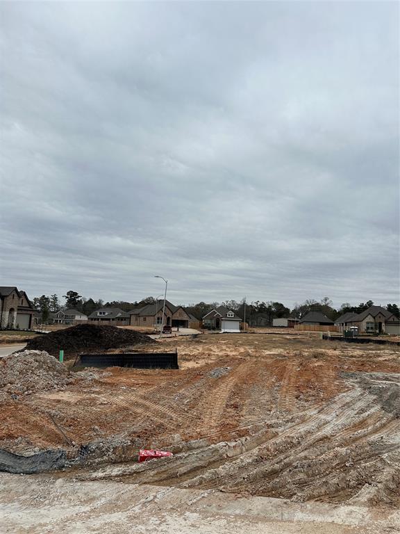42561 Edmund Rucker Lane, Magnolia, Texas image 3