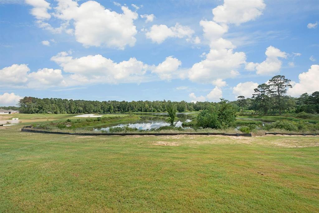 42561 Edmund Rucker Lane, Magnolia, Texas image 7