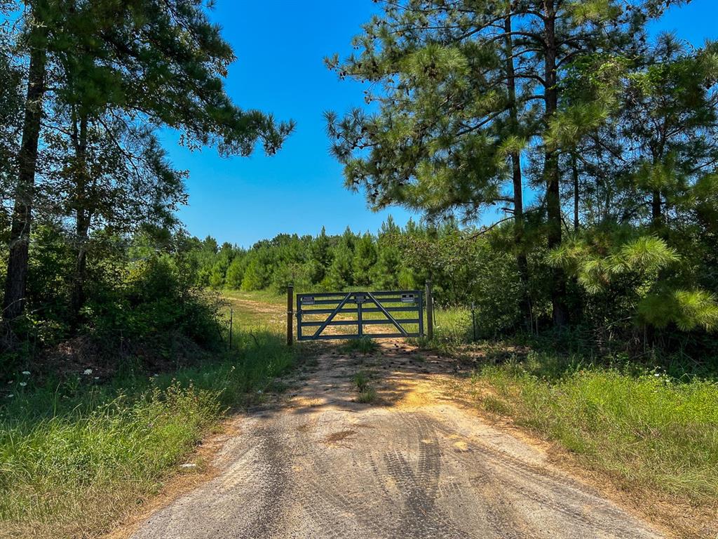 3 Highway 146, Ace, Texas image 4