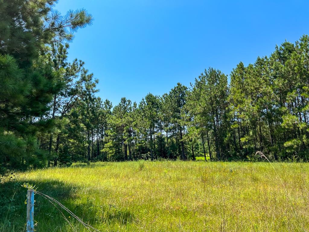 3 Highway 146, Ace, Texas image 9