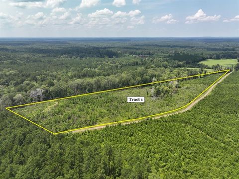 Vacant Land For Sale - 01 Coussons Drive<br/> Sabine County, Hemphill, TX 75948
