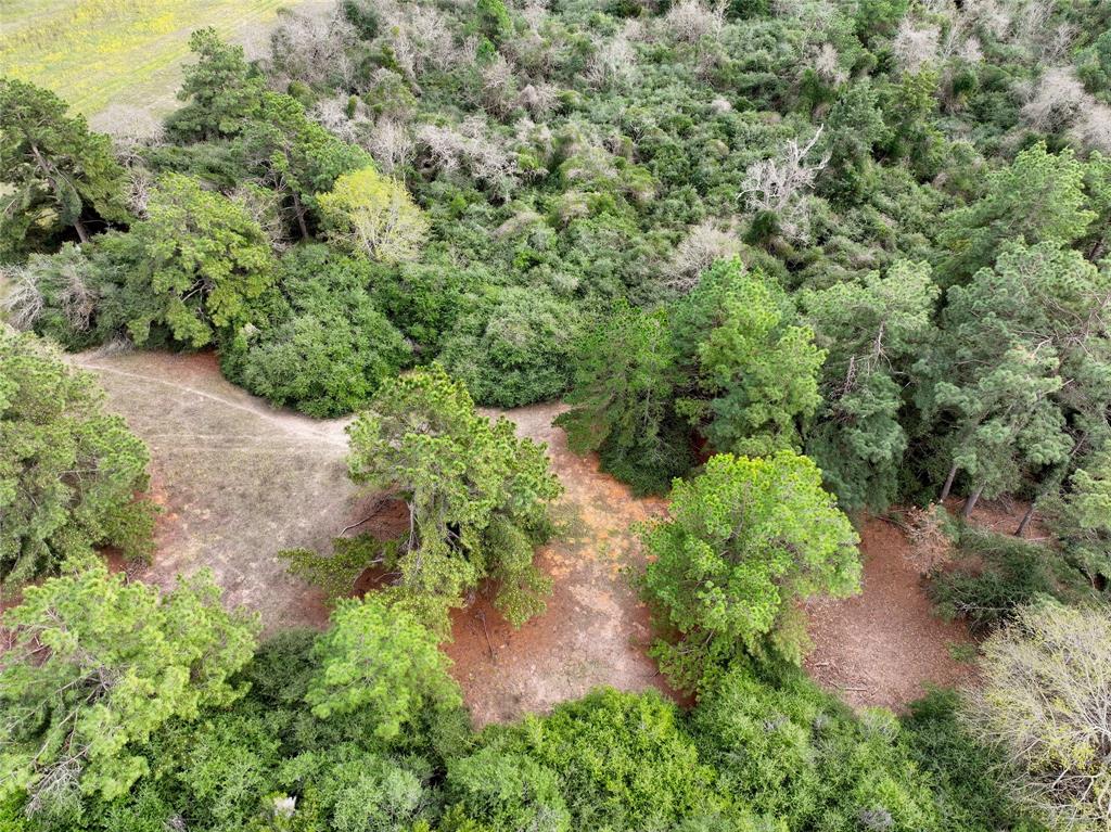 5.01Acres Lot 98 Pr 1315, Centerville, Texas image 11