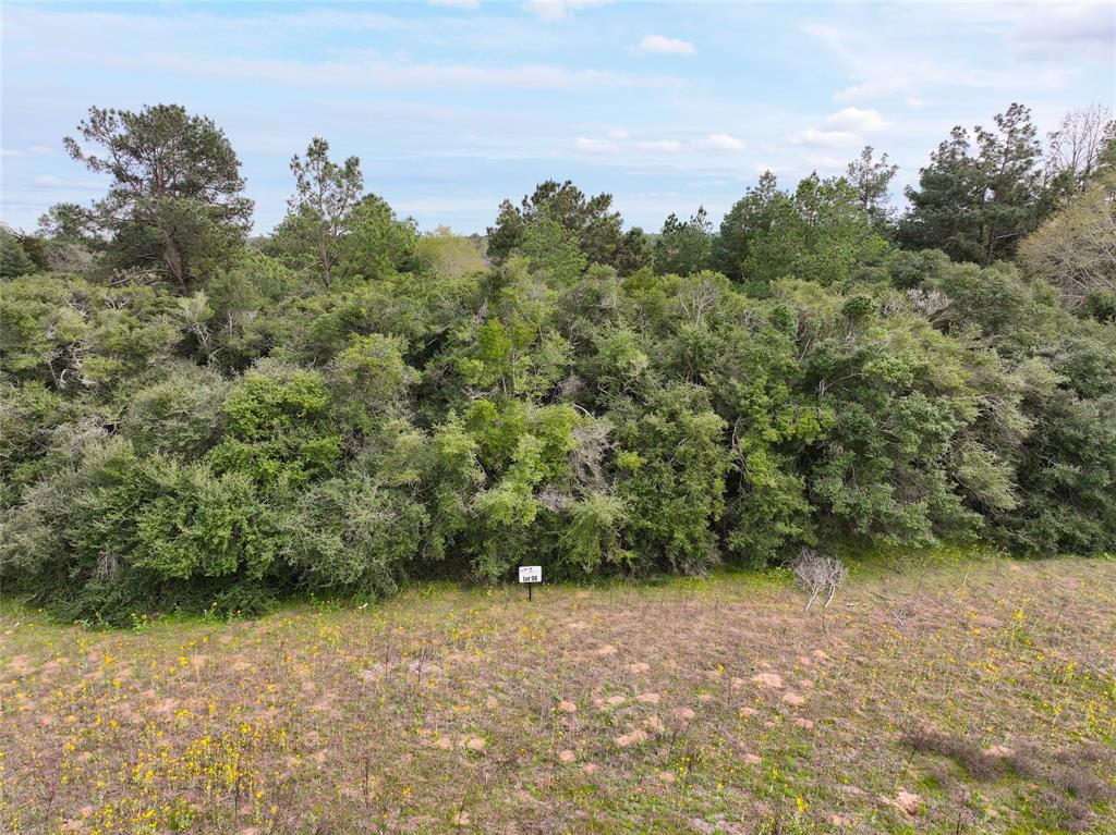 5.01Acres Lot 98 Pr 1315, Centerville, Texas image 10