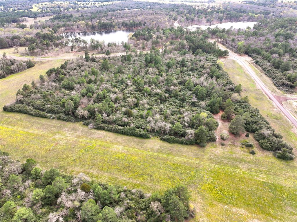 5.01Acres Lot 98 Pr 1315, Centerville, Texas image 7