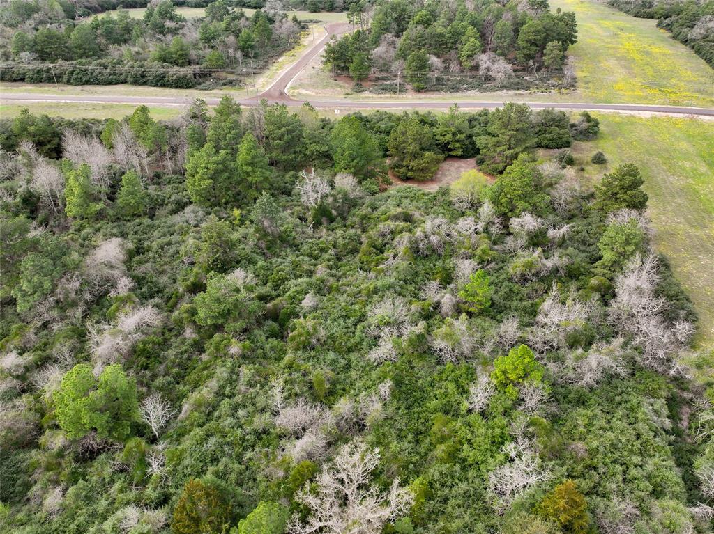 5.01Acres Lot 98 Pr 1315, Centerville, Texas image 12