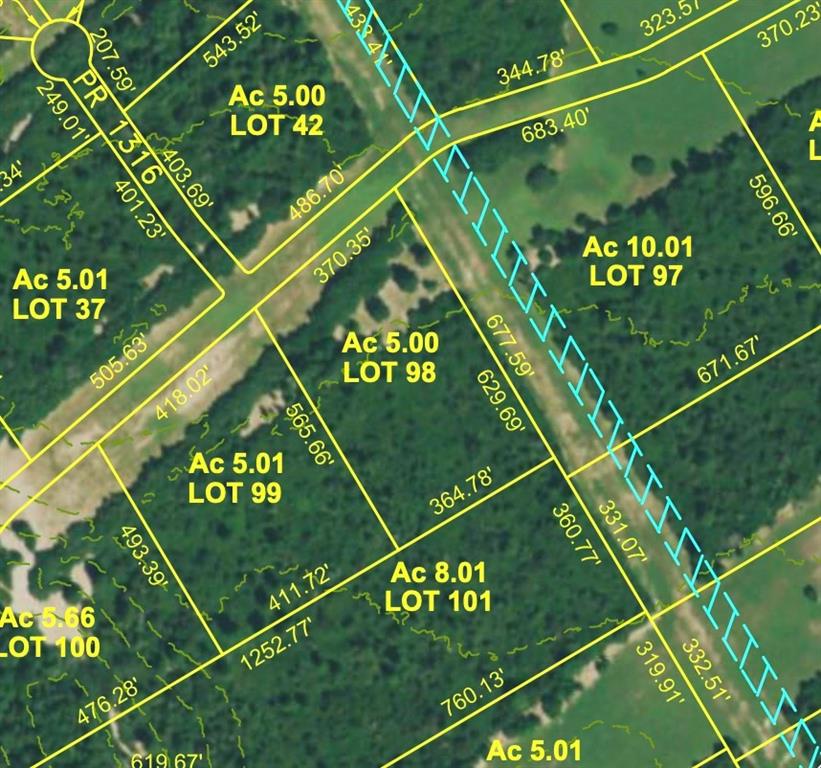 5.01Acres Lot 98 Pr 1315, Centerville, Texas image 4