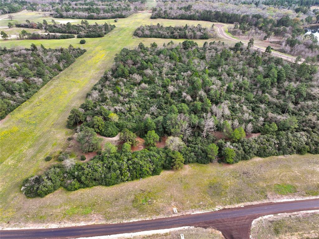 5.01Acres Lot 98 Pr 1315, Centerville, Texas image 3