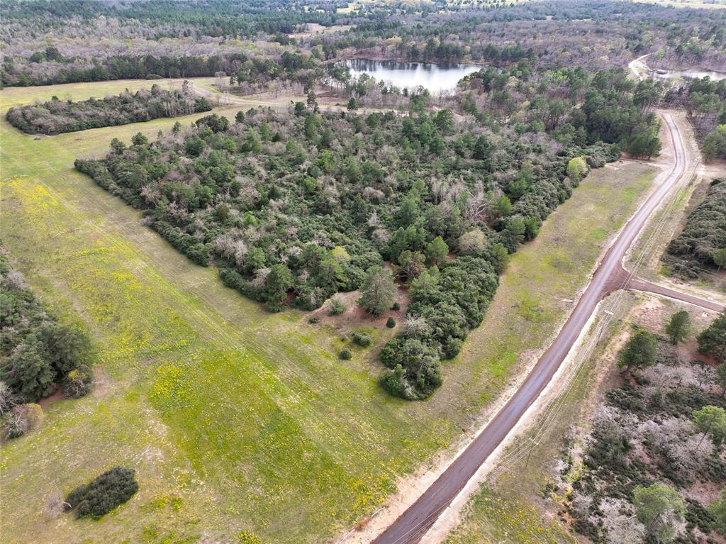 5.01Acres Lot 98 Pr 1315, Centerville, Texas image 5