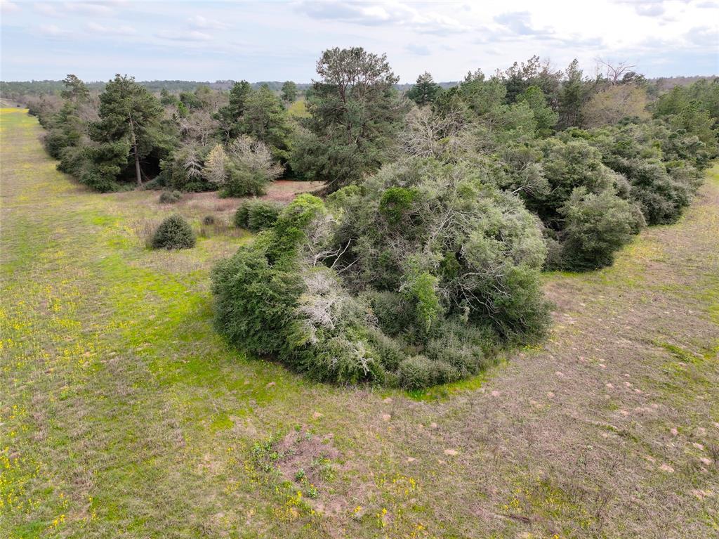 5.01Acres Lot 98 Pr 1315, Centerville, Texas image 9