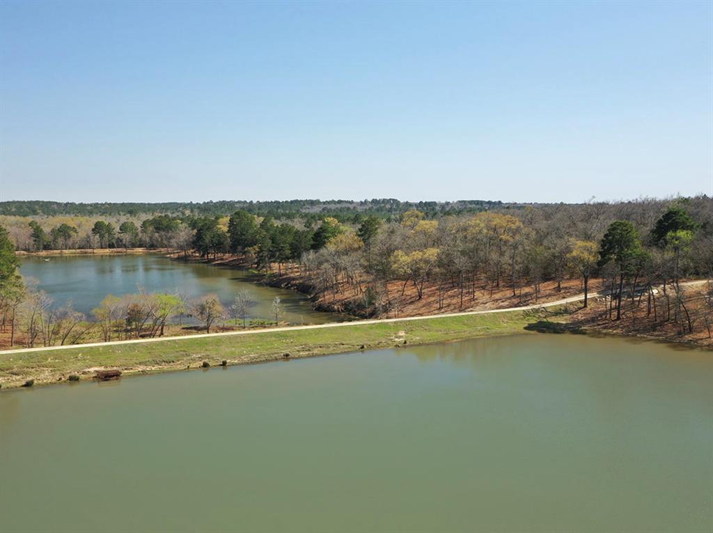 5.01Acres Lot 98 Pr 1315, Centerville, Texas image 22