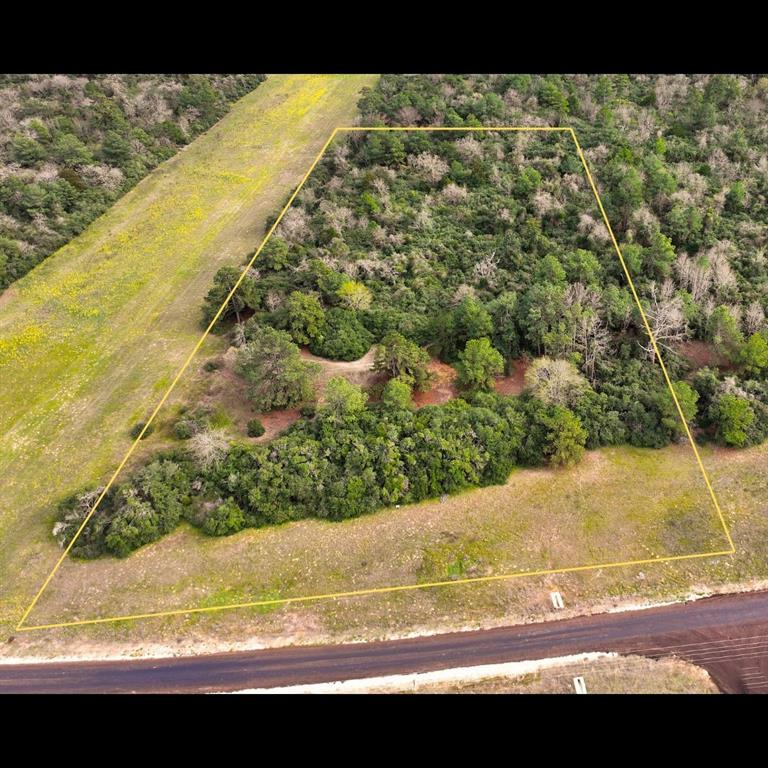 5.01Acres Lot 98 Pr 1315, Centerville, Texas image 2