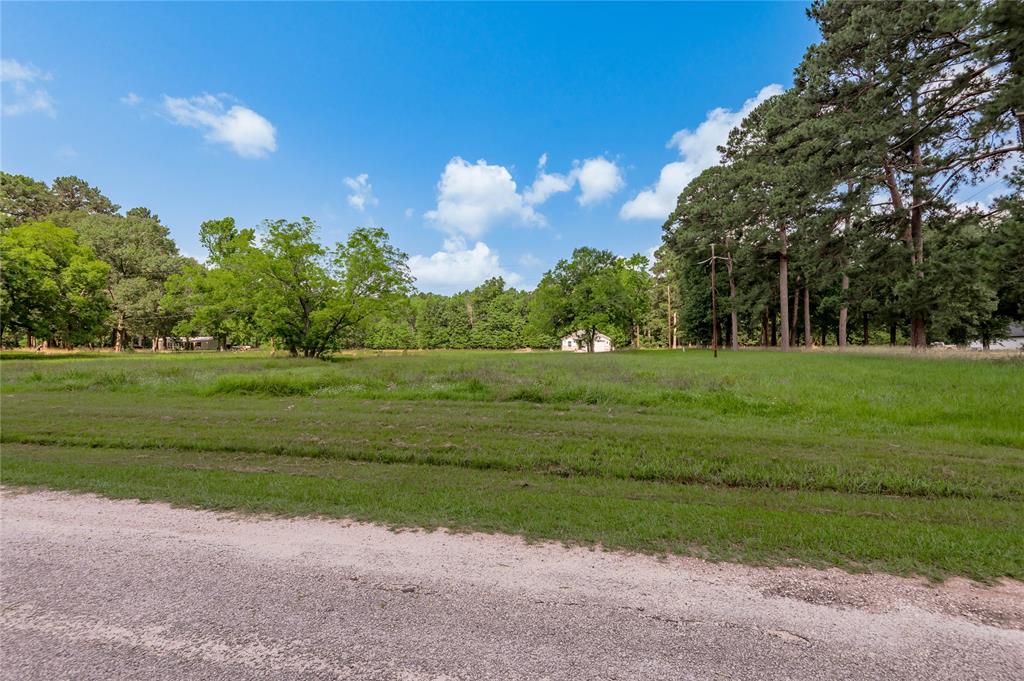 Lot 14 Hermitage Street, Trinity, Texas image 6