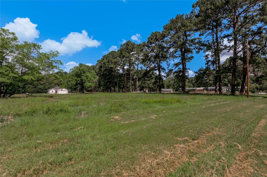 Lot 14 Hermitage Street, Trinity, Texas image 11