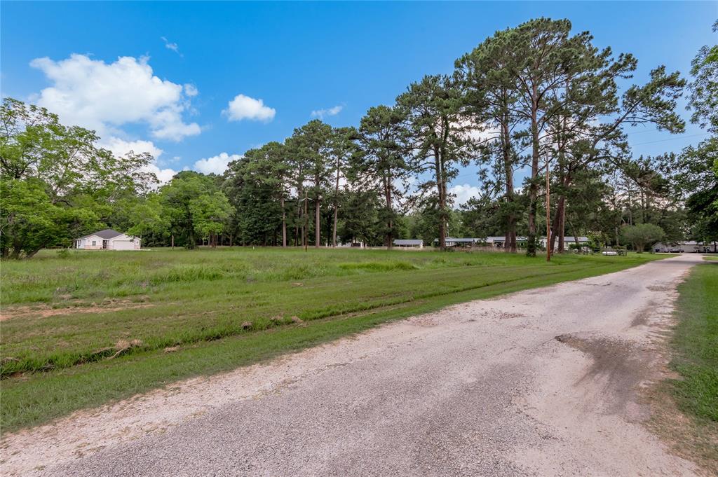 Lot 14 Hermitage Street, Trinity, Texas image 4