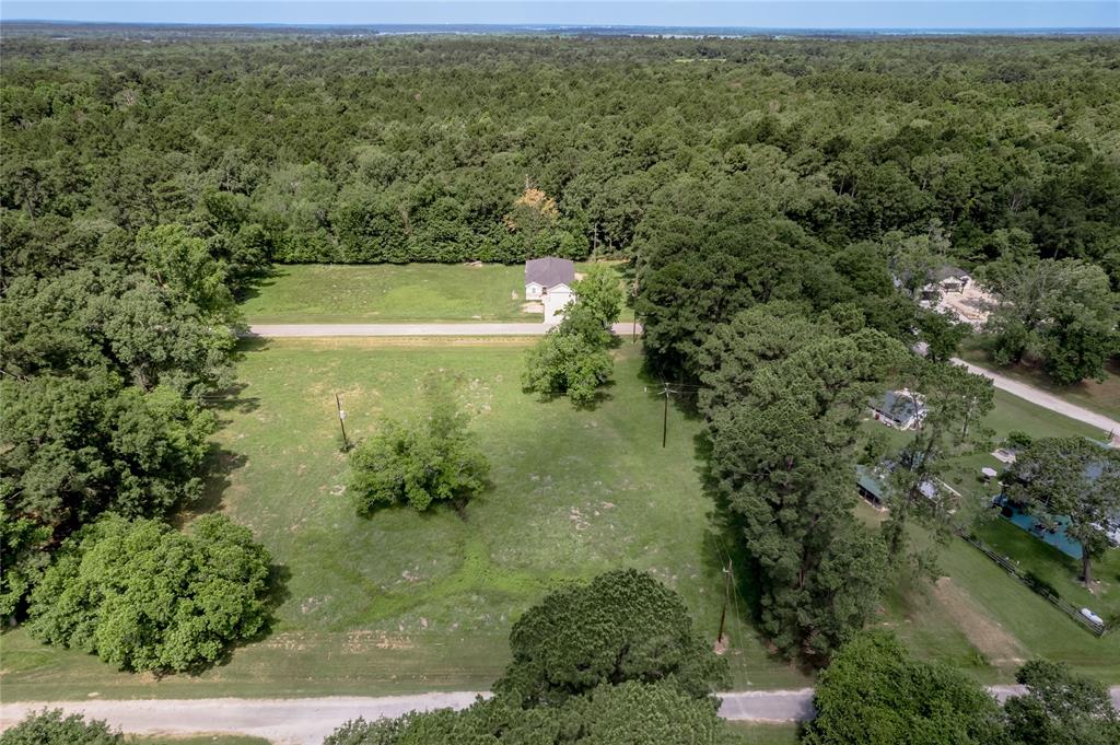 Lot 14 Hermitage Street, Trinity, Texas image 19