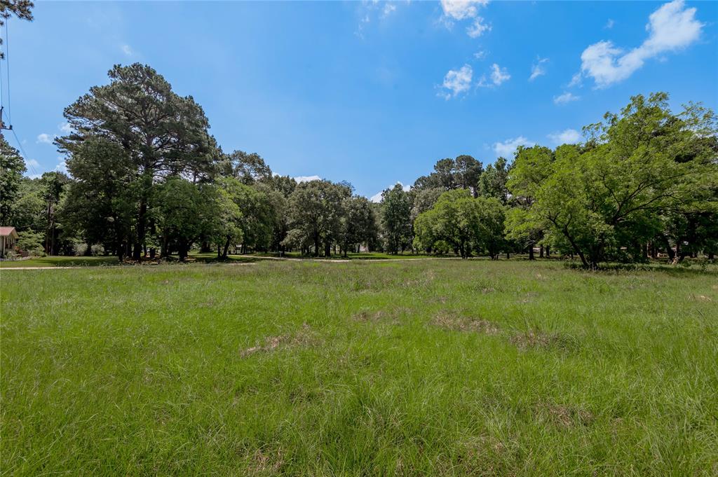 Lot 14 Hermitage Street, Trinity, Texas image 9