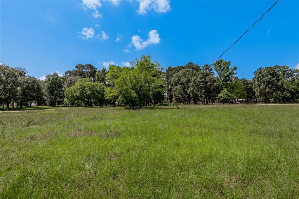 Lot 14 Hermitage Street, Trinity, Texas image 8
