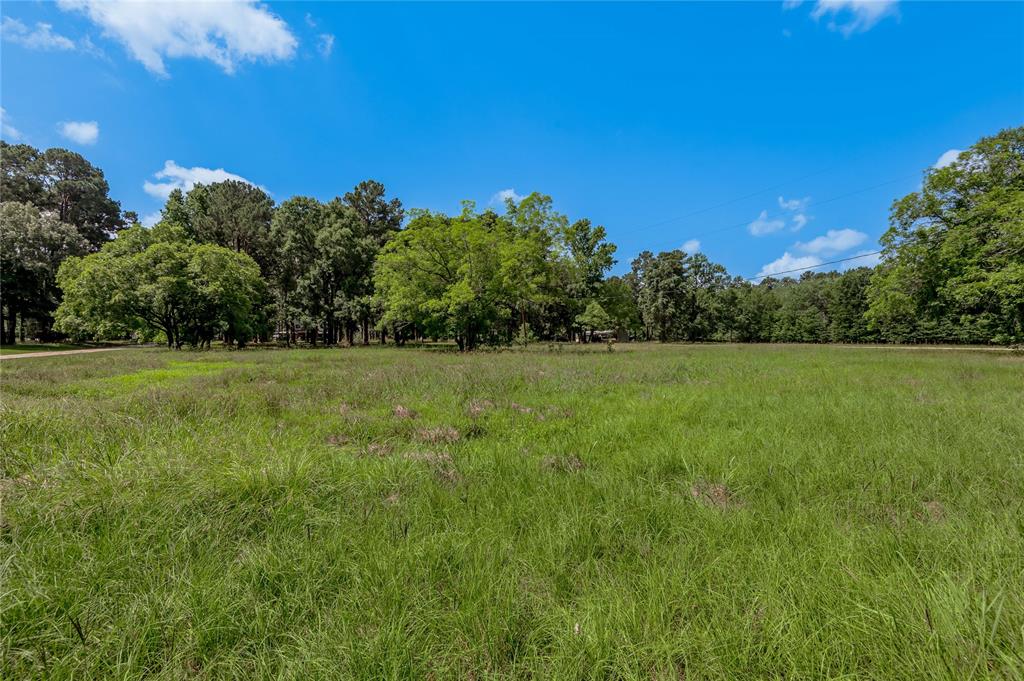 Lot 14 Hermitage Street, Trinity, Texas image 10