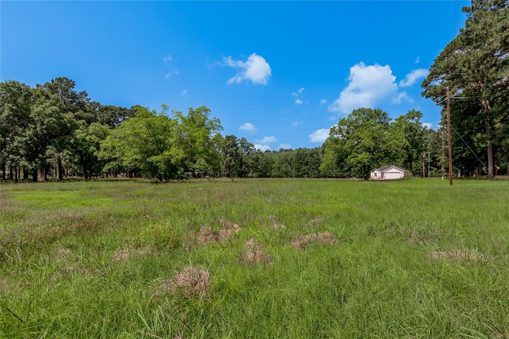 Lot 14 Hermitage Street, Trinity, Texas image 7