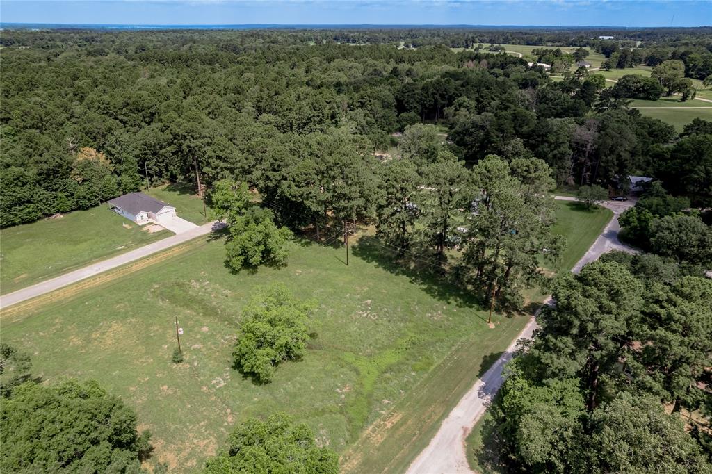 Lot 14 Hermitage Street, Trinity, Texas image 20
