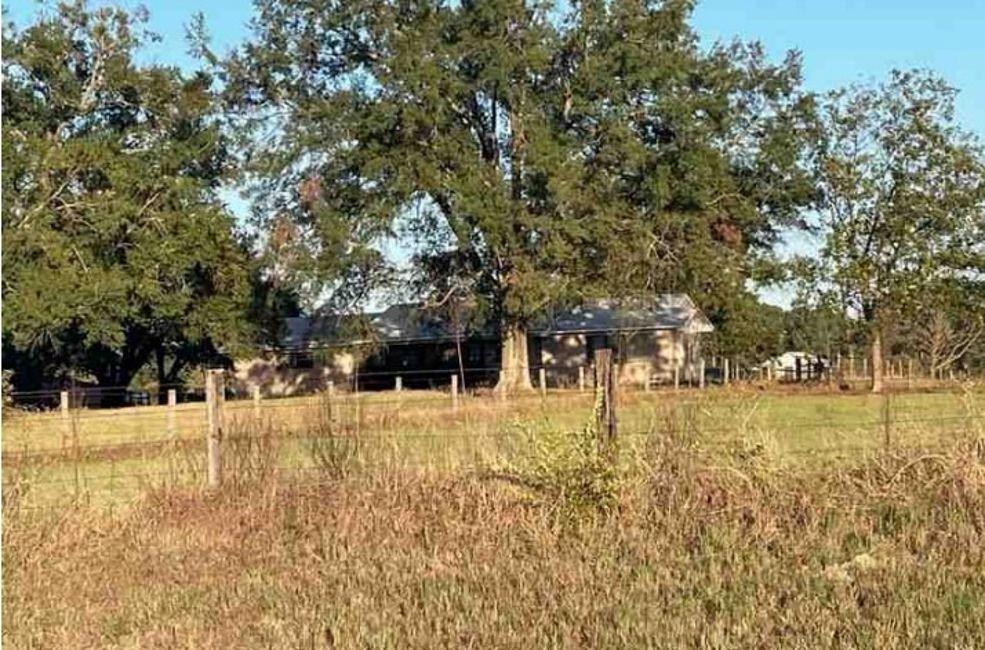 4140 N Fm 312, Winnsboro, Texas image 4