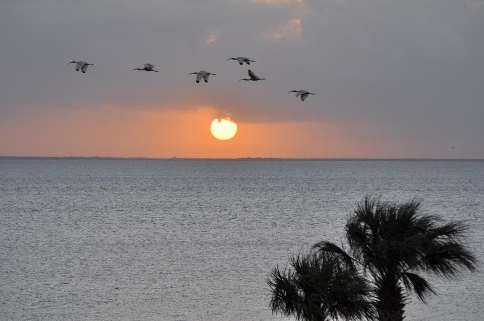 26570 Bay Water Drive #302, Galveston, Texas image 17