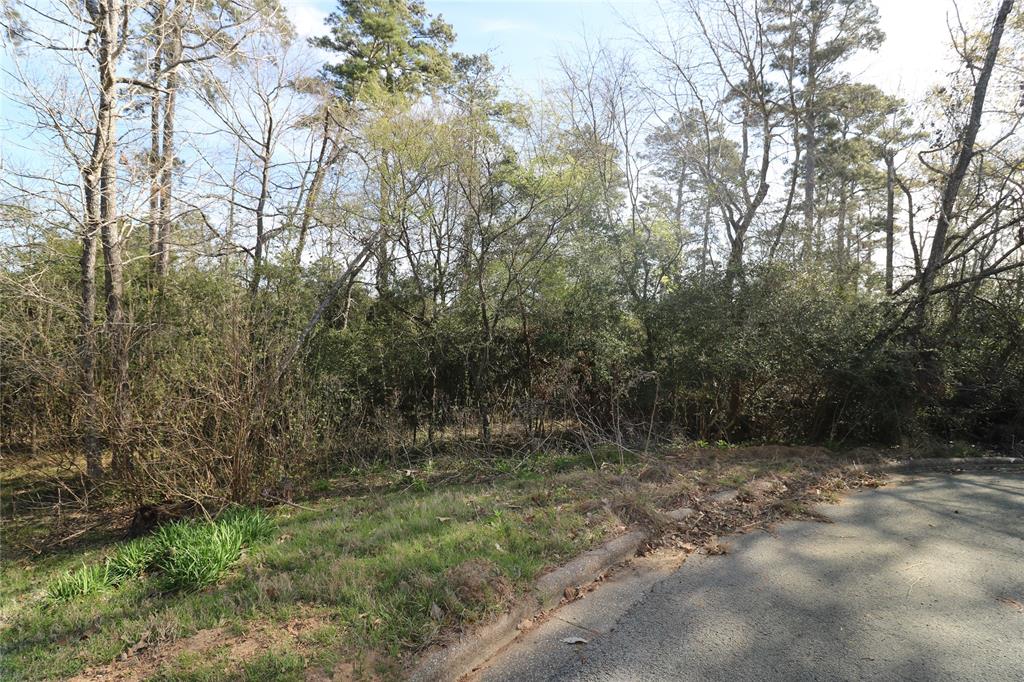 1711 Wickersham Drive, Huntsville, Texas image 19