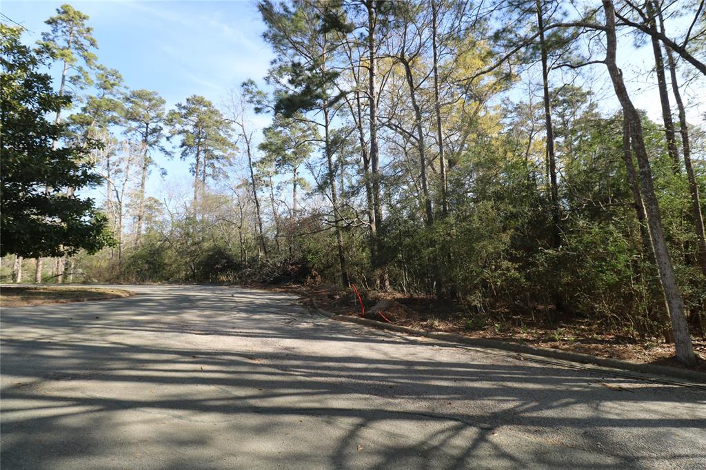 1711 Wickersham Drive, Huntsville, Texas image 18